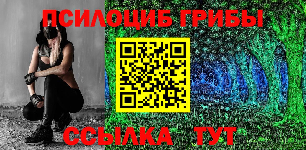 Галлюциногенные грибы GOLDEN TEACHER Светлоград