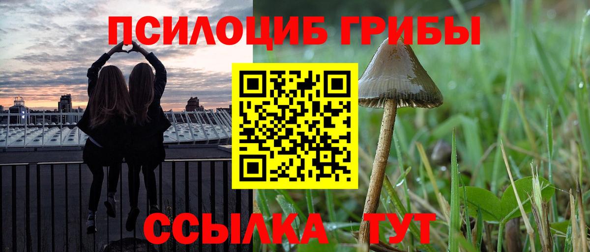 Псилоцибиновые грибы Magic Shrooms  Галлюциногенные грибы ЛСД  Светлоград  Вход с VPN 